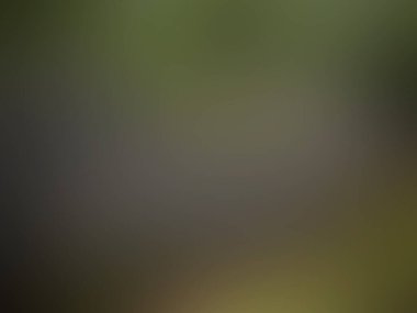 Duvar kağıdı için bulanık arkaplan dokusu.