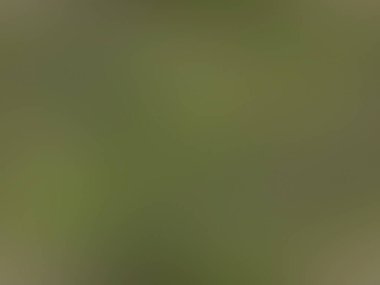 Bulanık arkaplan dokusu, desen