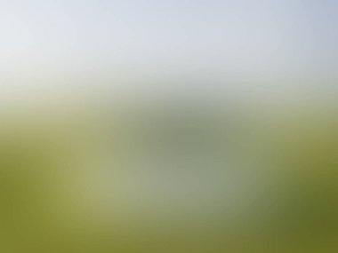 Bulanık açık yeşil arkaplan