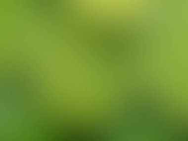 Yeşil renk bulanık arka plan