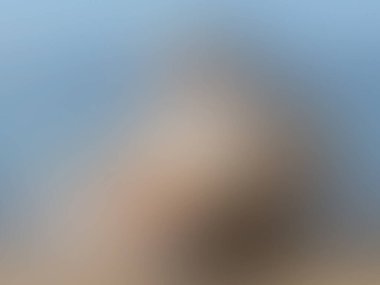 Sanatsal biçim - Tasarımınız için odaklanmış soyut doku arkaplanı