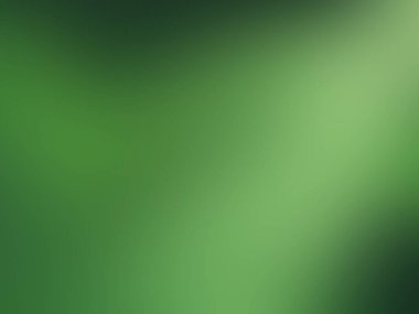 Yeşil bulanık doğa arka planı. vektör illüstrasyonu