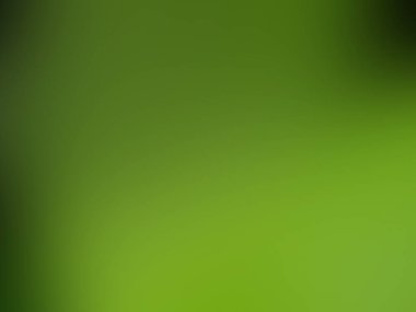 Renkli gradyan ile bulanık arkaplan