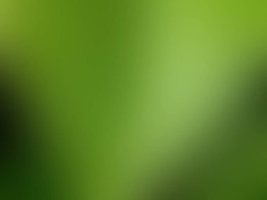 Soyut bulanık yeşil arkaplan