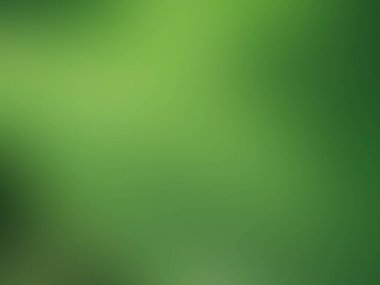 Bulanık doğa yeşil arka plan, soyut doğal yeşil yapraklar arka plan