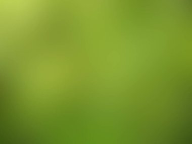 yeşil soyut arkaplan, gradyan, duvar kağıdı, arkaplan