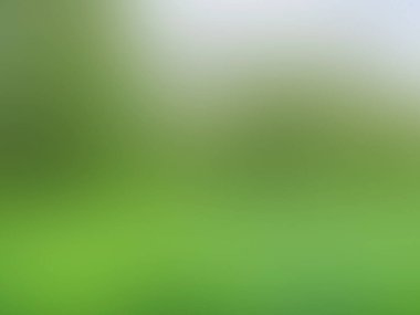 Bulanık ışık arkaplanı renkli