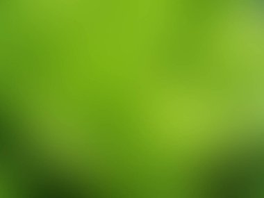 yeşil renk arka plan bulanık