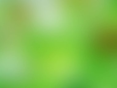 Yeşil ve Beyaz Bulanık Arka Plan