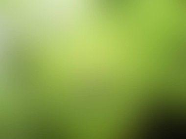 Bulanık yeşil arkaplan, gradyan renk