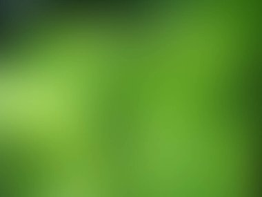 Taze yeşil rengin bulanık arkaplanı