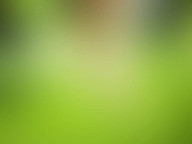 Yeşil Doğa arka plan bulanıklık.