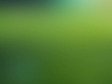 yeşil bulanık arkaplan / yeşil gradyan