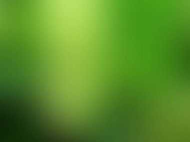 Bulanık arkaplan yeşil doğa soyut.