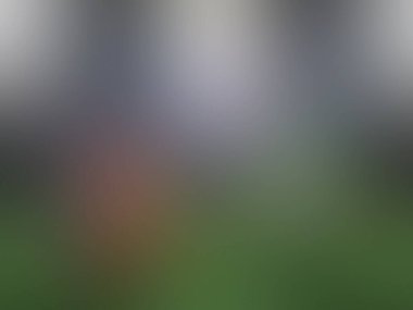 soyut pastel yumuşak renkli yumuşak bulanık dokulu arka plan odak tonlu. duvar kağıdı ya da web tasarımı olarak kullan