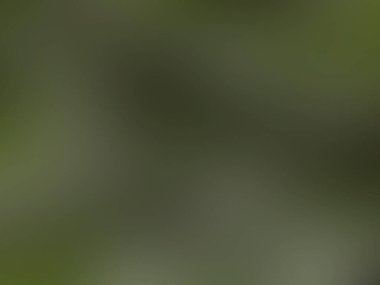 Soyut bulanık arkaplan renkleri karışık