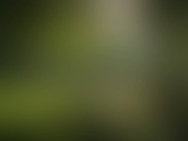 yeşil gradyan arkaplan / soyut bulanık arkaplan