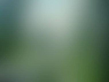 Bulanık gradyan arkaplan / renkli soyut resimli duvar kağıdı, kitapla