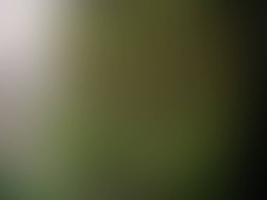 soyut bulanık arkaplan renkleri karışık yeşil ve kahverengi