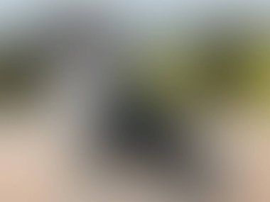 Soyut pastel yumuşak renkli yumuşak bulanık desenli arka plan odak tonlu