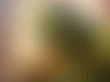 abstract pastel soft colorful smooth background textured background off focus toned. use as wallpaper or for web design