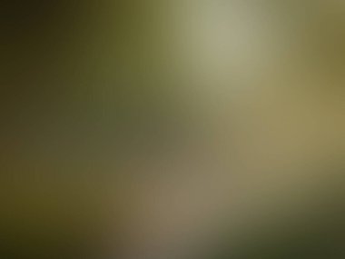 Aydınlatma gradyan hareketi arkaplanı bulanıklaştırdı. Renkli çizgiler desen duvar kağıdı