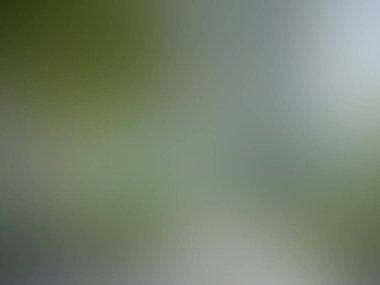 Yeşil gradyan bulanık arkaplan