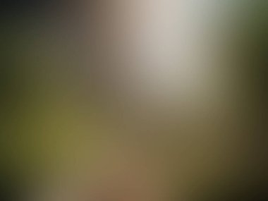 soyut bulanık yumuşak renk arkaplanı