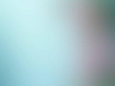 Tek bir kırmızı çiçekli bulanık bir arkaplan