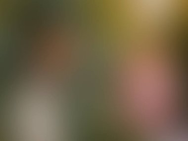 Yeşil ve sarı bir çiçeğin bulanık arkaplanı