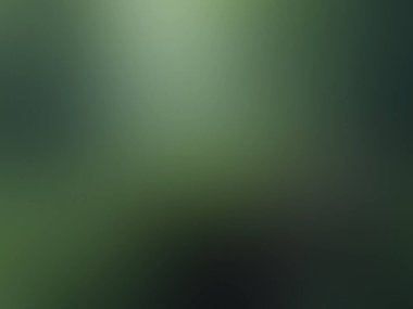 Tek çiçekli bulanık yeşil bir arkaplan