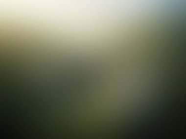 Tek bir kırmızı çiçekli bulanık bir arkaplan