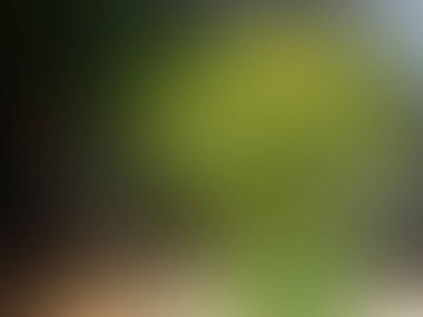 Yeşil ve sarı bir çiçeğin bulanık arkaplanı