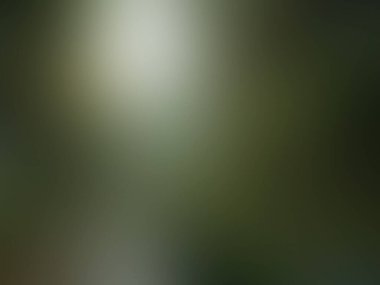 Yeşil ve beyaz bir bitkinin bulanık arkaplanı