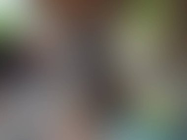 yeşil ve mavi bir çiçeğin bulanık arkaplanı