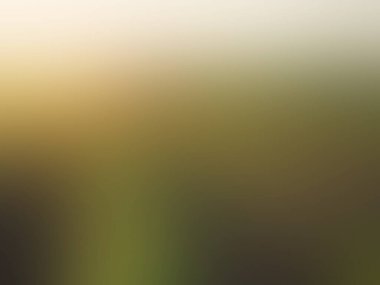 Tek çiçekli bulanık bir bitki arkaplanı