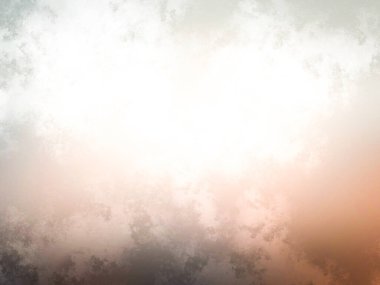 Tarlanın ortasında duran bir at.