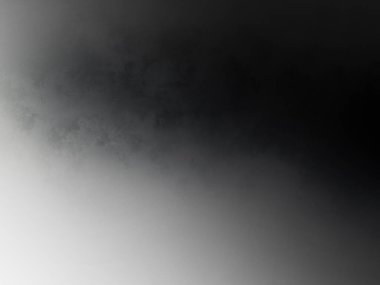 Siyah gömlekli bir adam elinde kamera tutuyor.