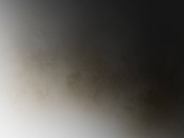 Bir insan bir köpeğin fotoğrafını çekiyor.