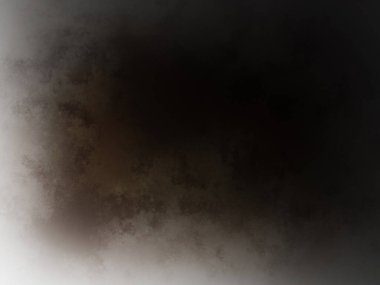 Kahverengi ve beyaz arkaplanlı siyah beyaz bir fotoğraf.