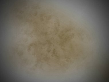 Üzerinde kahverengi madde olan beyaz bir kase.