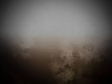 Bir sis tarlasında duran yalnız bir at.