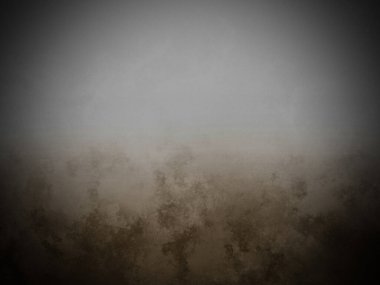 Çimlerin üzerinde duran yalnız bir zebra.