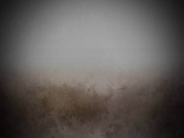 Çimlerin üzerinde duran yalnız bir at.