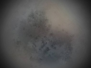 Bir ağacın siyah beyaz fotoğrafı.