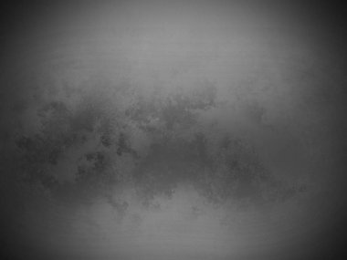 Bir ormanın siyah beyaz fotoğrafı.