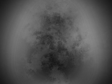 Bir ağacın siyah beyaz fotoğrafı.