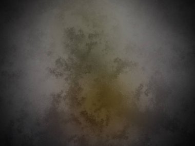 Bir ağacın siyah beyaz fotoğrafı.