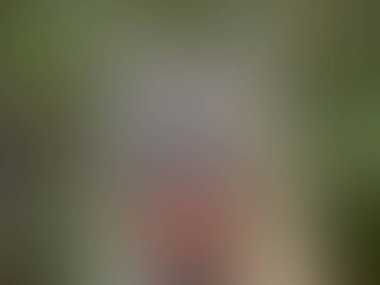 Bulanık arkaplan dokusu temasıName