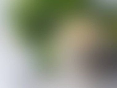 Bulanık arkaplan dokusu, vektör